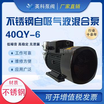 不銹鋼自吸式臭氧氣液混合泵